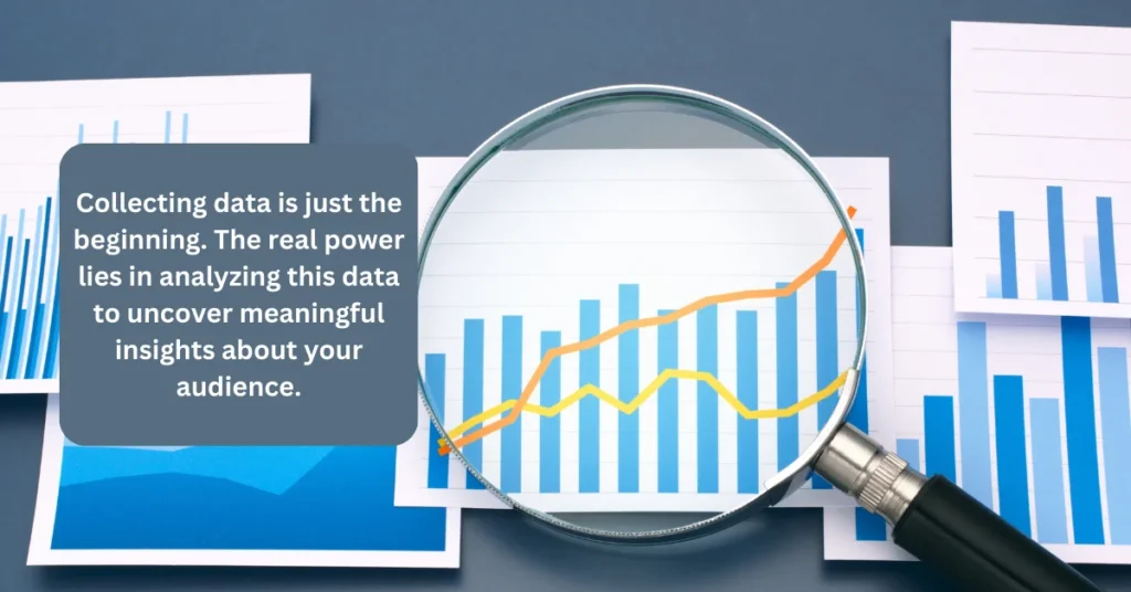 Analyzing Data to Understand Your Audience